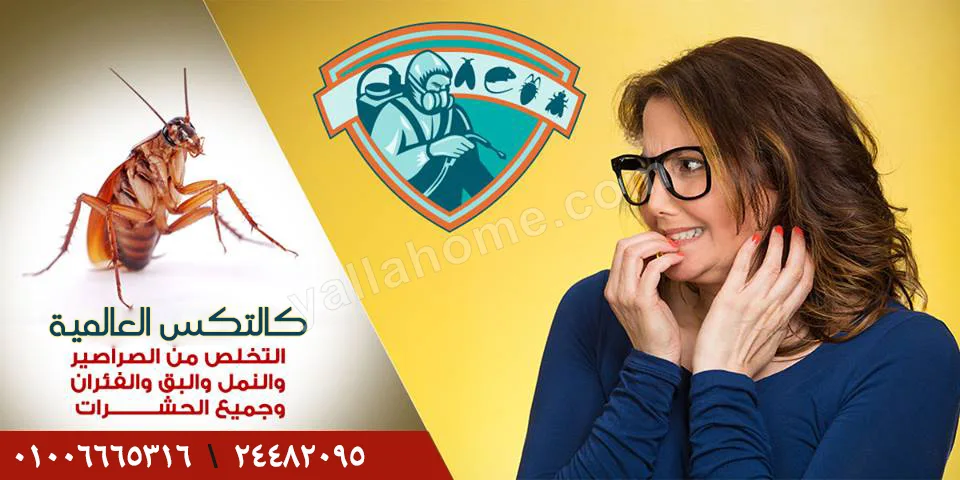 مكافحه الحشرات و اباده الحشرات والفئران