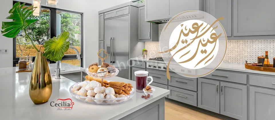 Cecilia modern furniture سيسليا للاثاث