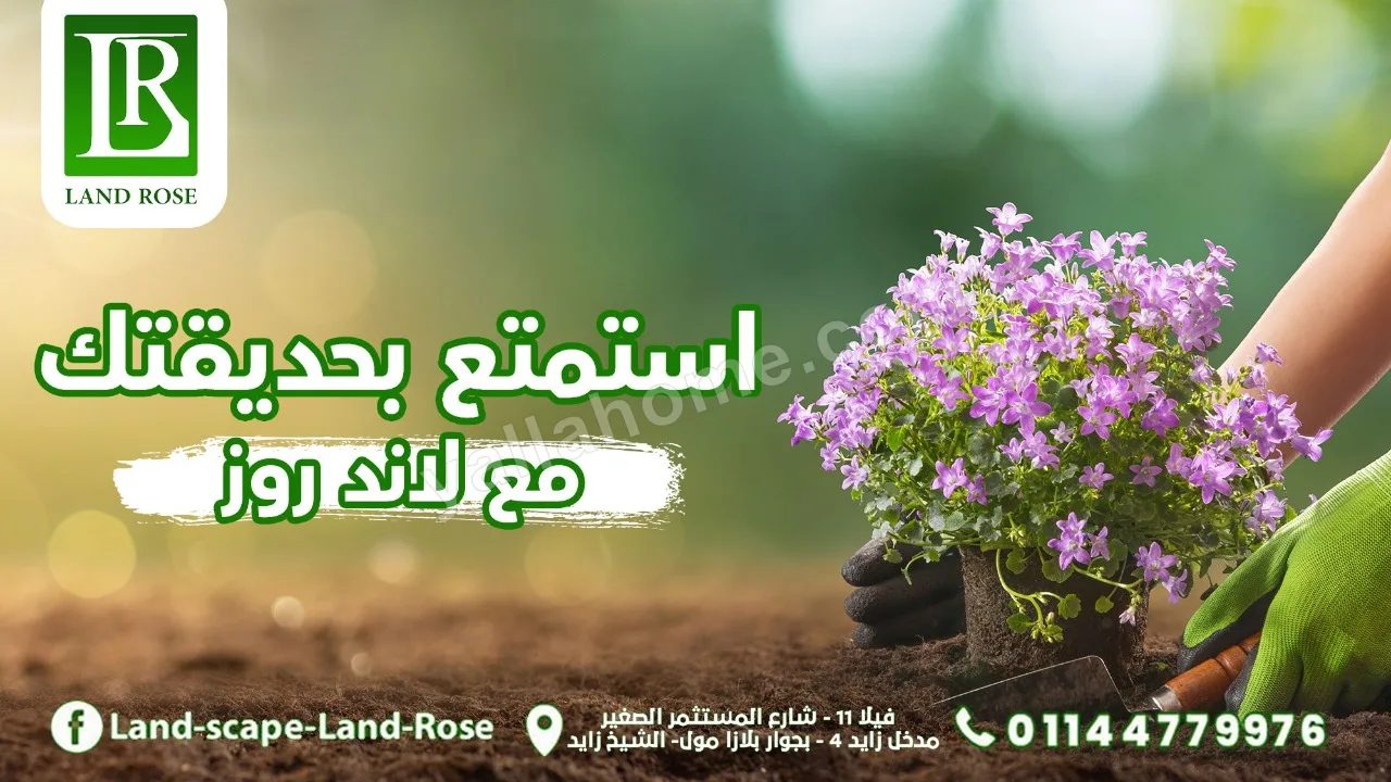 Land scape Land Rose - لاند سكيب لاند روز