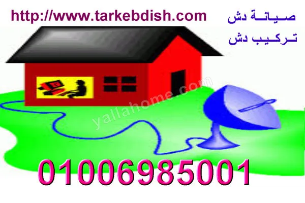 دش المهندسين والزمالك
