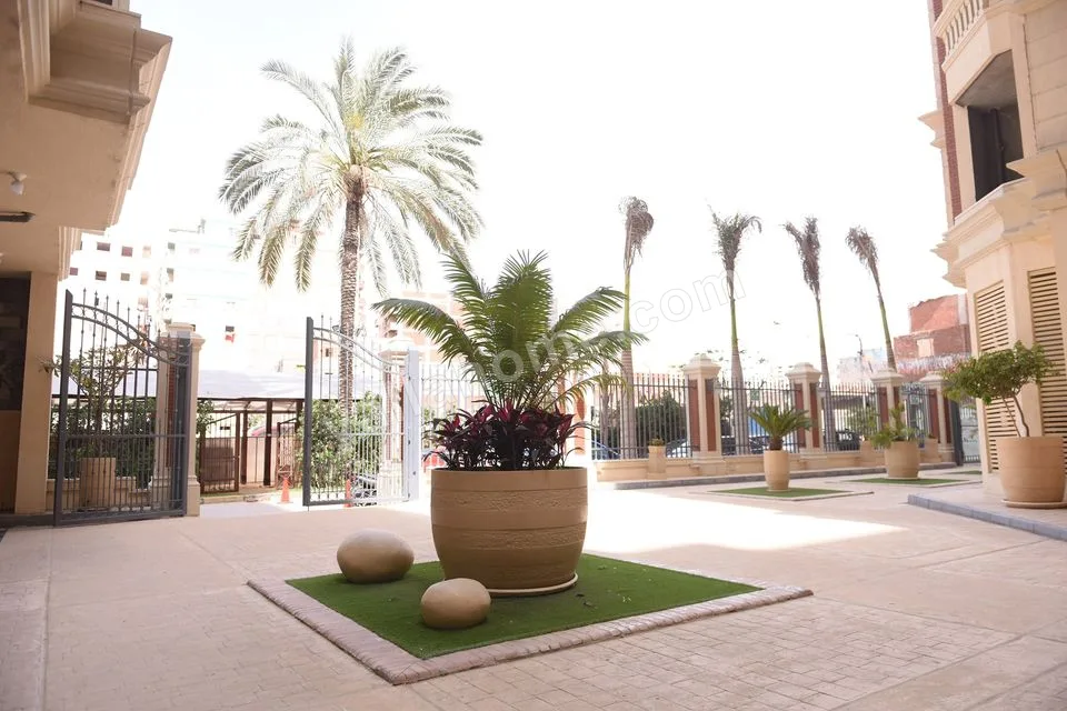 Palm city پالم سيتي