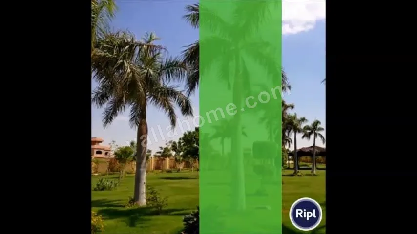 Evergreen Compound - كمبوند إيفرجرين