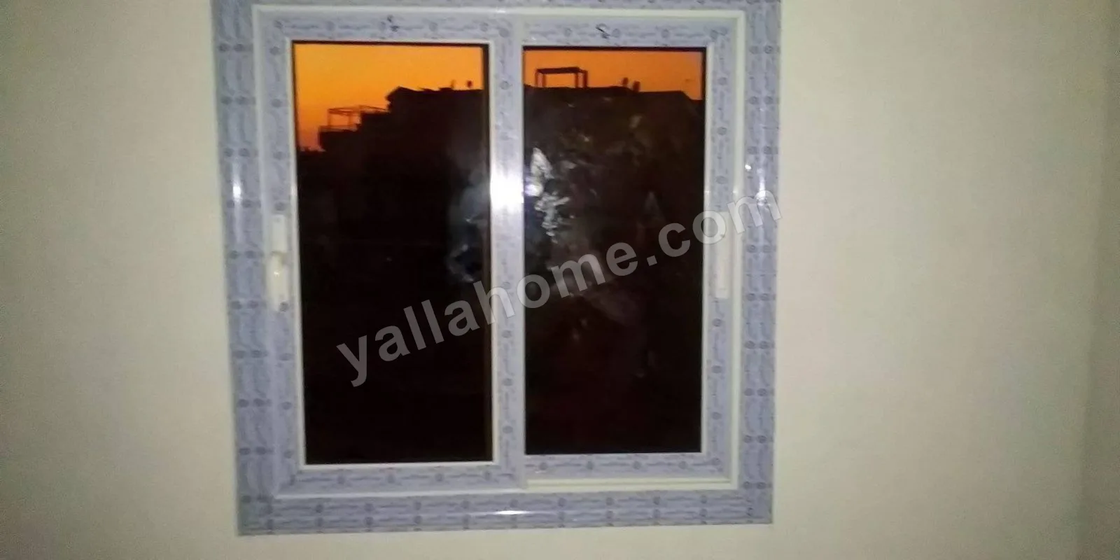 افتتاح فرع جديد — صورة 1